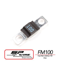 FM100 #FUSE MAIN 100AMP