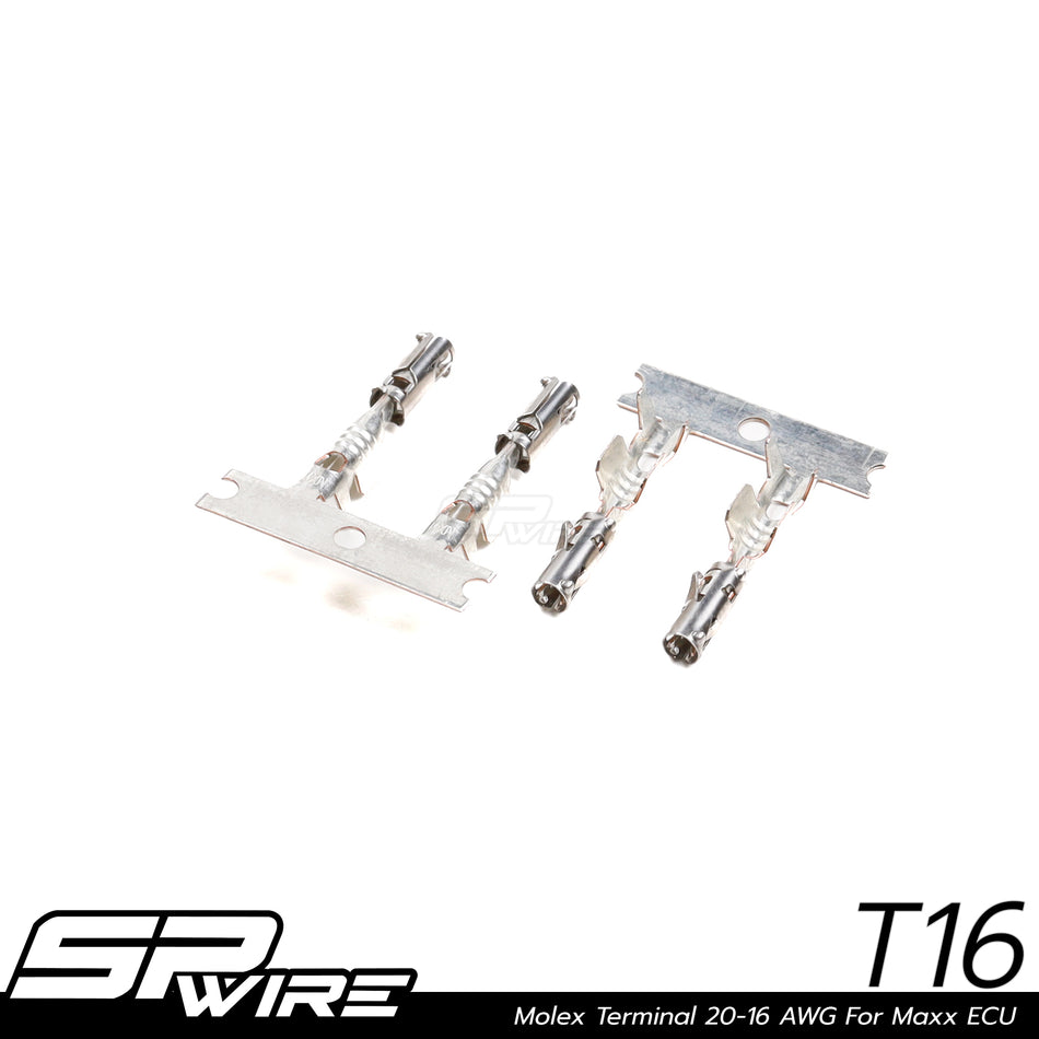 #T16  Molex Terminal 20-16 AWG For Maxx ECU