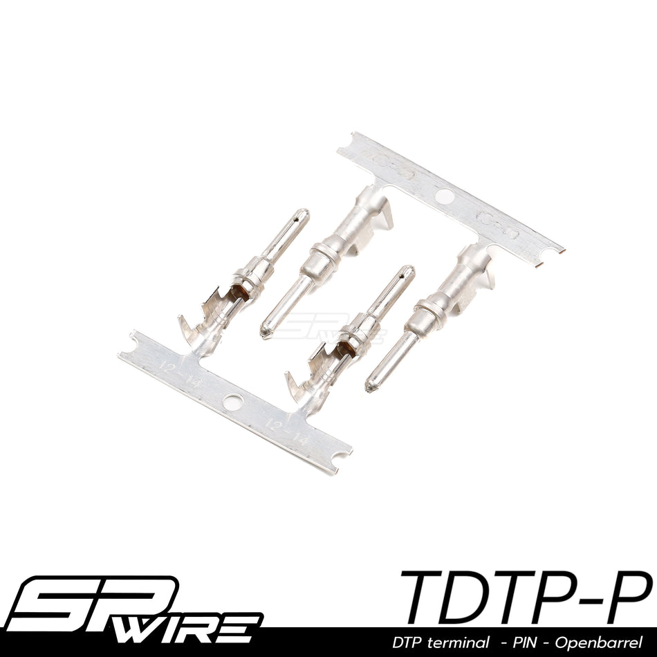 TDTP-P #DTP terminal - PIN - Openbarrel